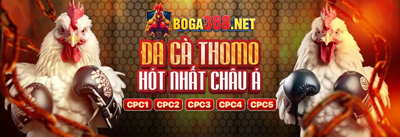Trận đá gà trực tuyến kịch tính tại 32win11